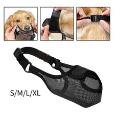 Muzle pour chien de chien