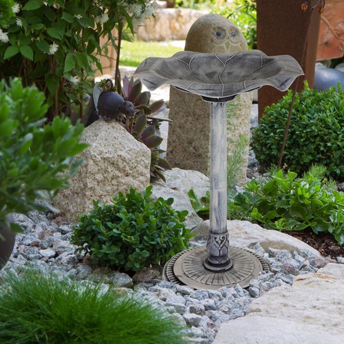 Abreuvoir piscine pour - pour, oiseaux