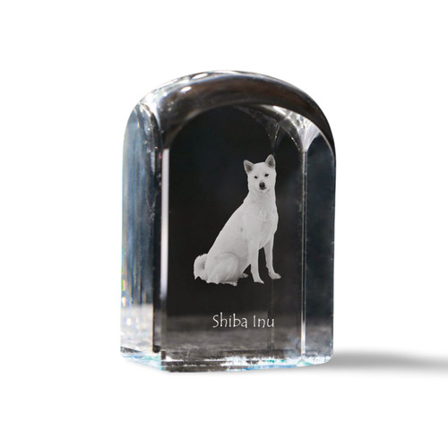 Shiba inu cristal cubes avec - cubes,