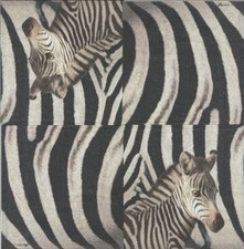 Lot de 2 Serviettes en papier