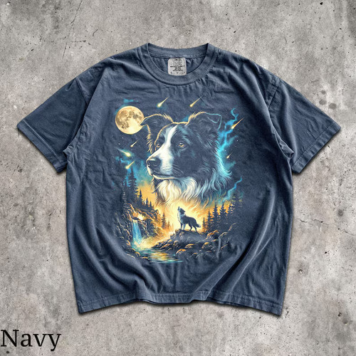 Border collie howling - collie,