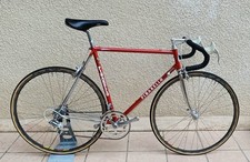Pinarello Montello Vintage