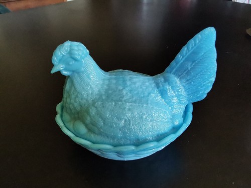 Poule beurrier opaline bleu - poule,