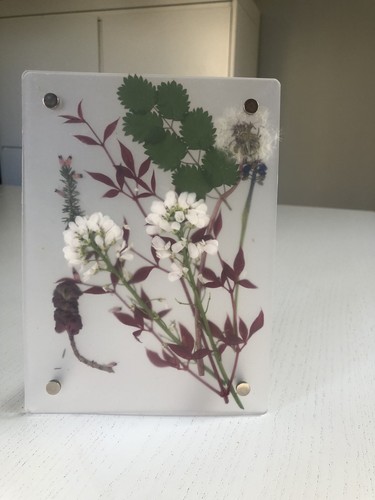 Cadre créatif avec fleurs - créatif,