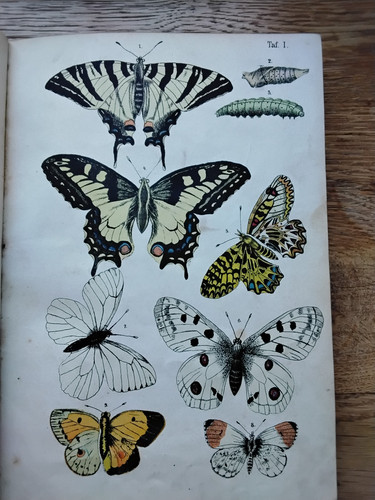 Rare livre ancien sur - ancien, les