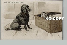 GOOD WORKING Chromo - Chien Kitten Watching Poodle in a Trunk