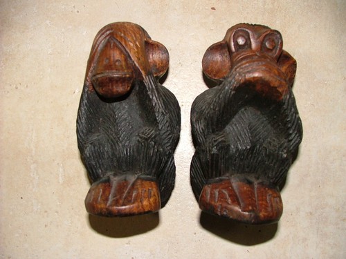 Lot singes la sagesse - de,