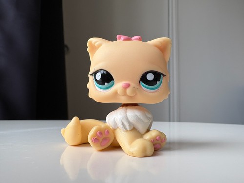 Petshop chat persan 1503 - chat,