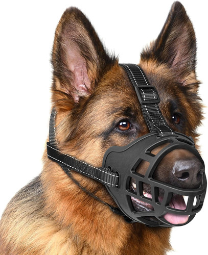 Muselière pour chien - pour,