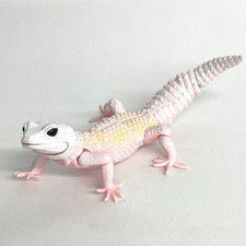 【Used】 Bandai Gashapon Leopard Gecko Action Figure ADVANCE  Blizzard 165mm 2021