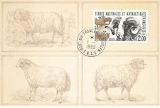 CARTE MAXIMUM FDC T.A.A.F