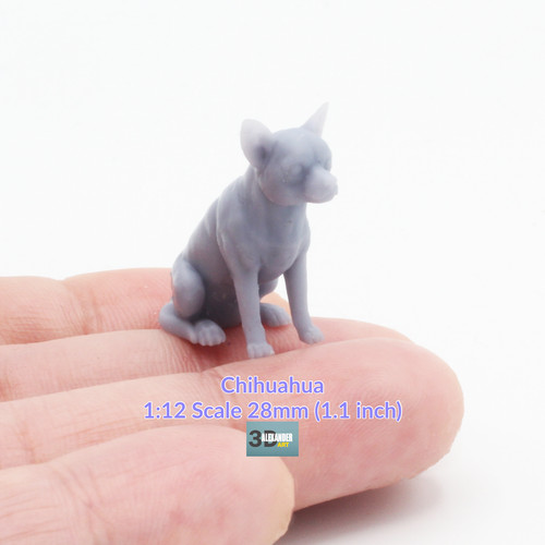 Chihuahua 12 scale - -, 1:12