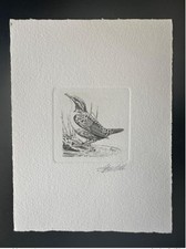 Belgique 1992 COB 2459 Epreuve