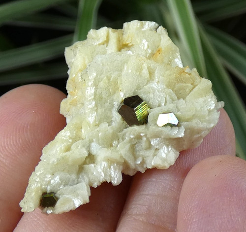 Pyrite sur dolomite - pyrite,