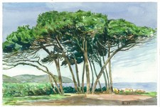 magnifiques pins parasols , tableau original 20 x 30 cm oeuvre aquarelle