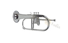 Instrument de musique indien