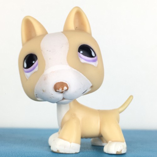 Authentic littlest pet - pet, shop