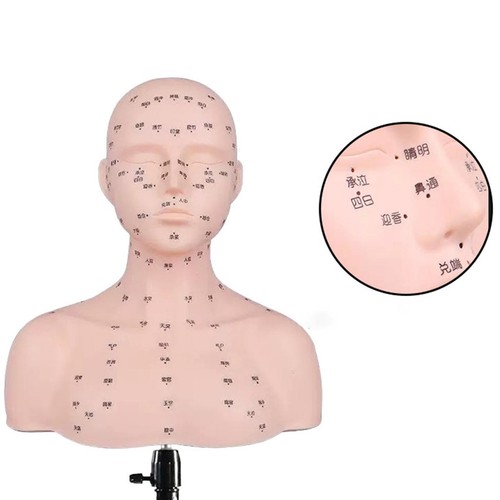 Tête mannequin pour - tête, de