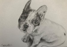 Carte postale dessin au crayon