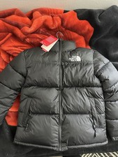 Doudounes Hommes The North