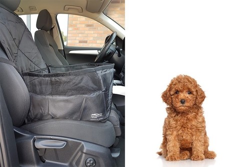 Pour sac chien - pour, siège
