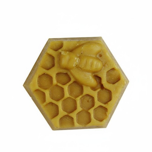 Seau piège abeilles - piège, à