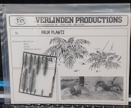 Verlinden palm plants - verlinden,