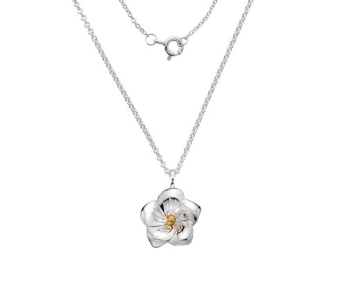 Pendentif argent massif - argent, &