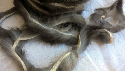 Peau fourrure lapin montage - fourrure,