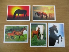 LOT DE CARTES POSTALE