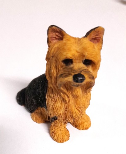 Chien attente biscuit 5 x - biscuit,