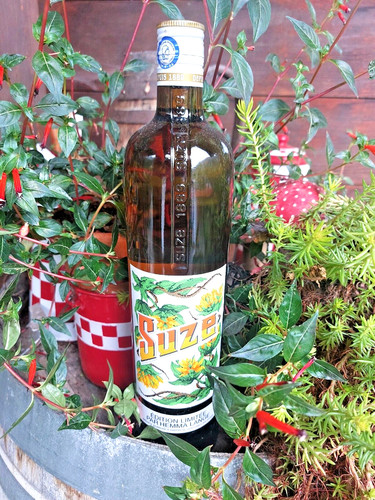 Bouteille suze gentiane - bouteille,