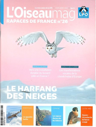 Oiseau mag rapaces - mag,