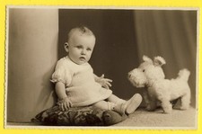 Old postcard PHOTO GEORGES in BRUSSELS BABY on CUSHION with DOG PLUSH toy toy