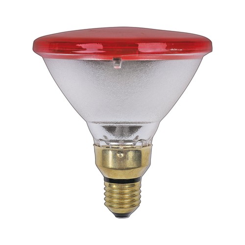 Ncc licht lampe infrarouge - ncc-licht,