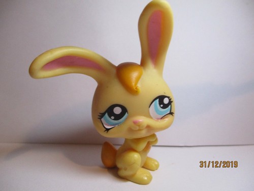 Petshop garenne rabbit - garenne, n°1311