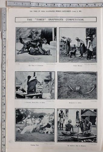 1911 inde imprimé burmese - imprimé,