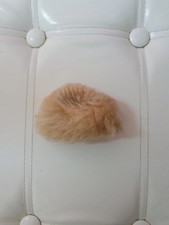 For Tressy Bella doll: touch outfit "Elegance" 1980