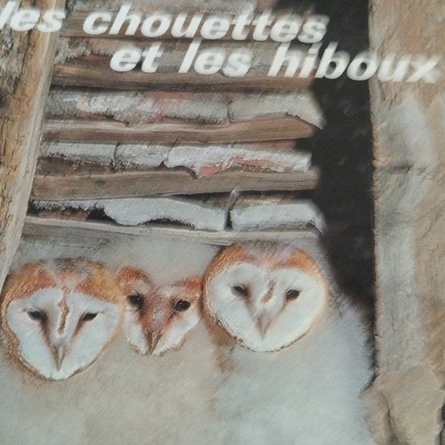Les chouettes hiboux - les, et