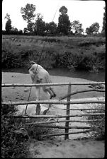 Femme porte dos homme barrière canne à pêche - Ancien négatif photo an. 1920
