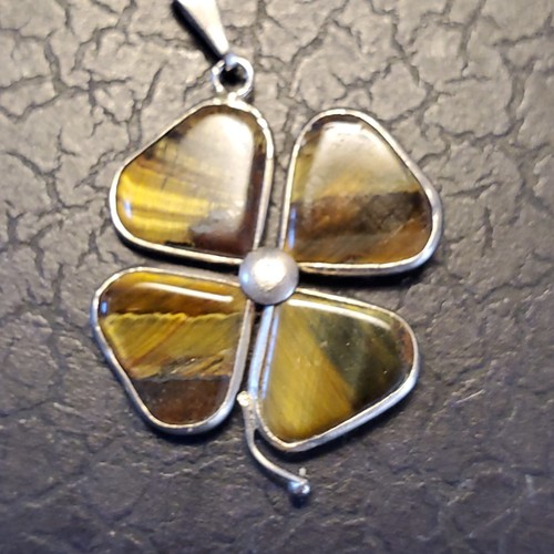Tiger eye leaf clover - tiger's,