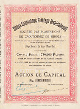 SIBOGA RUBBER PLANTATIONS COMPANY - CAPITAL SHARE - NETHERLANDS 