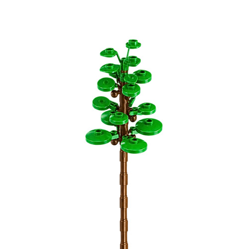 Plante feuilles verte tige