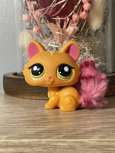 Petshop chat sphynx - ,