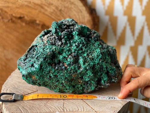 Spécimen rare malachite brut - spécimen,