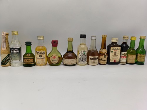 Lot mignonettes - 13,
