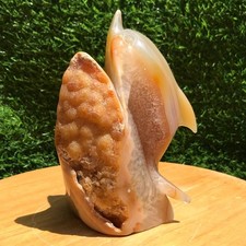 970G Natural Agate Geode Quartz Crystal Hand Carved dolphin Healing