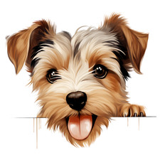 8 x 18 x 18 cm Biewer Terrier