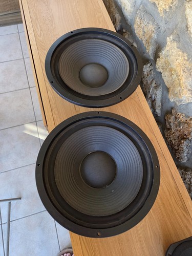 Rare paire haut parleurs - paire,
