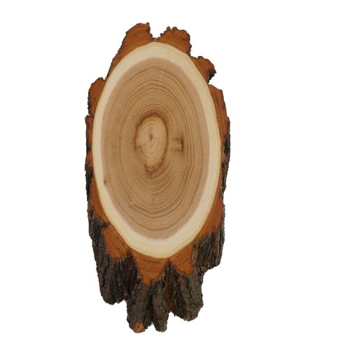 Plaque trophée acacia - plaque, cerf